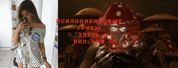 дмт Киреевск