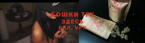 дмт Киреевск