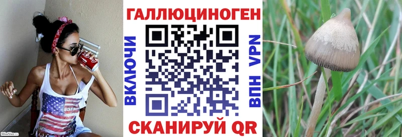 Псилоцибиновые грибы Psilocybe  Купить где  Далматово 